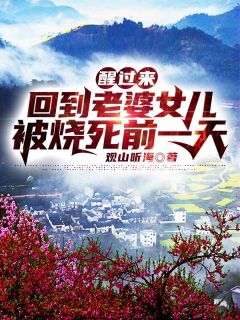 一场大梦一场空纪黛宁傅谨怀：全文+后续+结局已完结版