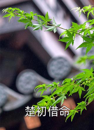 被渣后，在霍爷心尖放肆撩火全本小说推荐