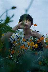 凌霄风云之仙途逆世免费阅读