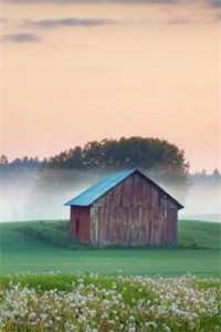 品味的悲欢离合, 用心逝爱彩蛋大揭秘高口碑