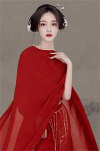 林斯洛郑雪歌裴予年+结局整本阅读完结版