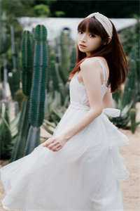 拒绝当舔狗！老婆穷困潦倒悔疯了：结局+番外全文+番茄