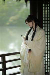 爱似飞花雨的小说