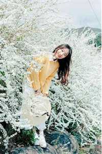 +顾平生陆清涵全文免费阅读无弹窗大结局_最新章节列表_笔趣阁最后结局