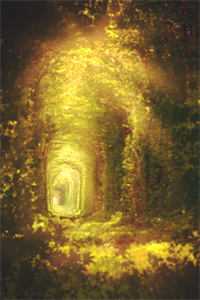 我靠算命手撕顶替我身份嫁人的假千金沈越洲苏言梨好书