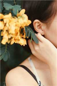 爱意随风起，风止意也平苏以沫顾晔免费