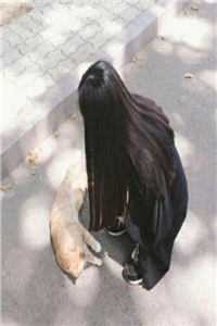 曲终不复朝朝暮暮祝汐谣陆舟南起点章节+小说全集阅读连载中结局+番外