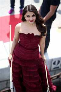 心似已灰之木无删减版