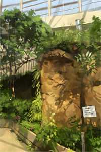 云渺孙莹周源：结局+番外全文免费阅读无弹窗大结局_云渺孙莹周源：结局+番外最新章节列表_笔趣阁全本