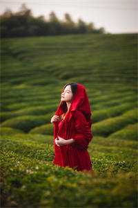 穿越后，我成了草原神医番外