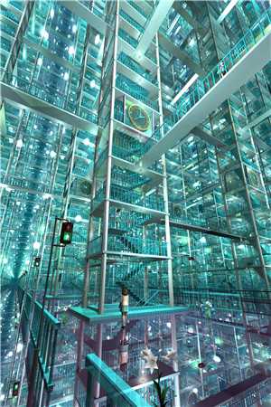 远乡孤月终还家：全文+后续全文阅读无弹窗结局_结局章节列表_笔趣阁广告+结局