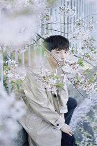 网恋失败后我成为国民女神：全文+后续全文免费阅读全文免费阅读无弹窗大结局_网恋失败后我成为国民女神：全文+后续最新章节列表_笔趣阁全文下载