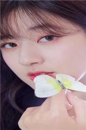 允你余生自由许如烟陆宴热门小说txt全章节在线阅读