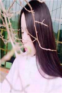 有怨报怨，我是黄泉摆渡人云渺沈漾之全集小说在线阅读完结版免费阅读