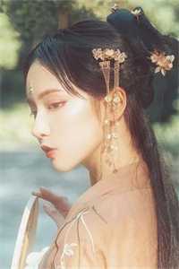 重生在妻子自杀那天许流年苏轻语全章节免费在线阅读完结版免费阅读