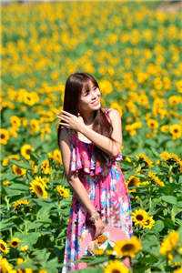 驯养的金丝雀飞走后，总裁现场抢婚姜音裴景川免费小说在线阅读最新章节