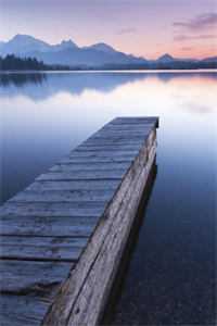 你来时繁花尽开：结局+番外免费完整版免费阅读全章节在线