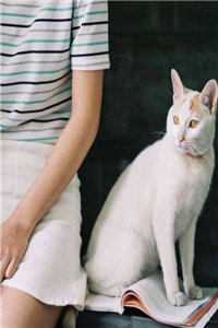 沈少谨温竹棠穆笙全文阅读无弹窗结局_结局章节列表_笔趣阁在线最新全本免费在线阅读抖音小说全本