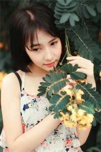 吸干养父母后，我逼他们净身出户抖音热门小说全文免费阅读无弹窗大结局