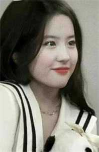 重回七零，我踹了军花一心高考苏景辰沈雪免费小说免费完本小说在线阅读