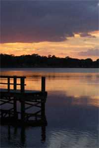 海阔凭鱼跃，爱意随风散于明朗林雨梦最新章节在线阅读抖音小说全本阅读