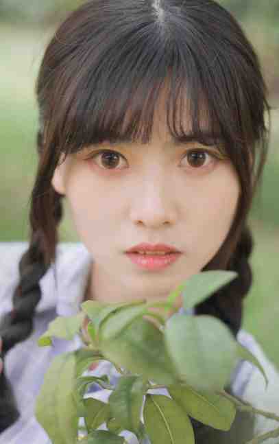 我曾踏月而来精选免费全集免费在线阅读下载