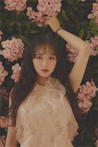 爱如花木向阳而生:+后续免费完整版全本笔趣阁小说