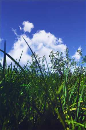 谁家好人总搞演习抢银行啊李修苏婉完结版在线阅读最新章节在线阅读