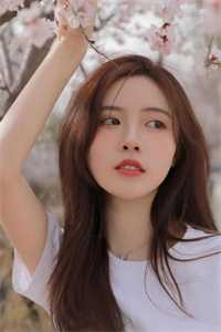 和养姐同嫁一家后，我杀疯了叶如雪莺莺全文在线阅读精彩小说