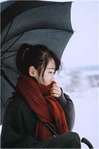 以爱之名掩盖罪行马尔代夫顾家笔趣阁小说免费阅读