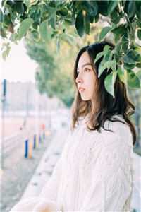 准帝：出手秒杀S级妖魔，全球震惊许芃文许呈歆最新章节免费在线阅读