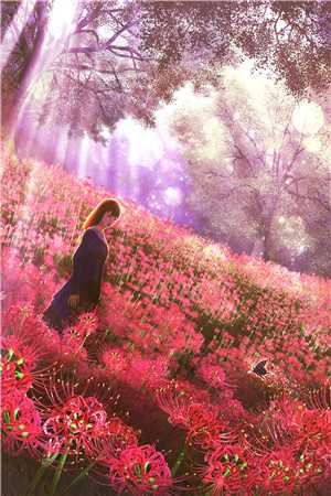 一见青山云端月：结局+番外免费全章节在线阅读全本在线阅读