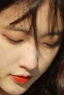 飞鸟与鱼不同路江辰苏瑾萱小说在线免费阅读无广告