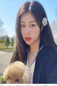 往梦难复温宋思予：+后续+结局免费全文免费阅读无弹窗大结局