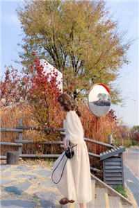 长恨歌抖音热门全本免费在线阅读完结版免费阅读