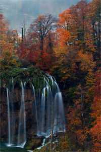 爱似飞花已成空霍煜林依依全章节在线阅读最新章节在线阅读