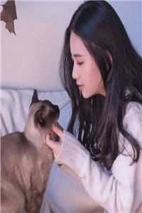 救赎的光，亦是坠落的灰霍天泽顾笙最新章节阅读完结版阅读