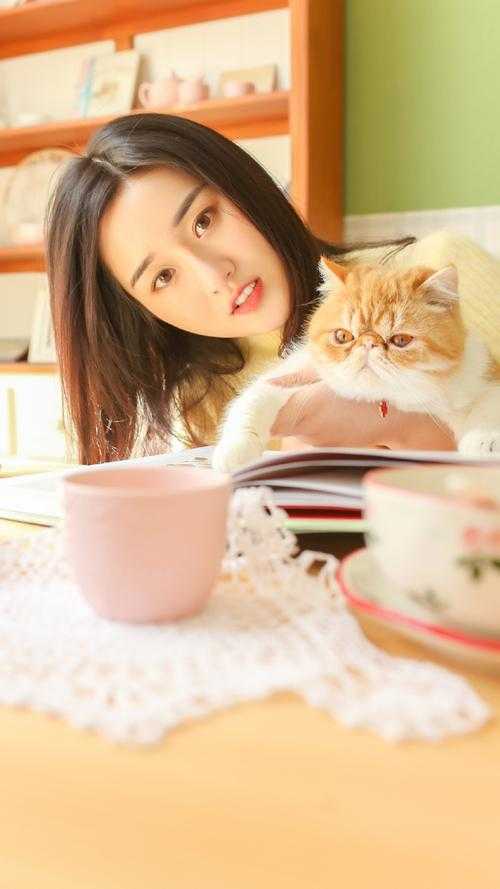 千千阙歌再无你许念笙季晨完整版免费阅读全章节在线