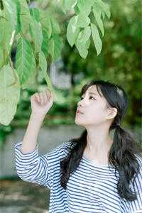 宋泠音商予淮：结局+番外+续集免费全本小说笔趣阁完整版免费阅读