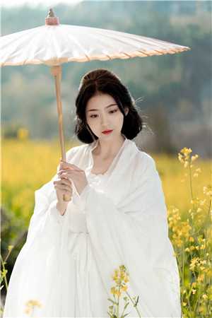 为报仇，我与恶人同行周司寒阮软全文阅读下载百度云免费小说