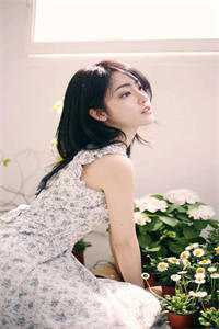 盛景太匆匆宁若曦沈砚舟全文免费阅读听书有声小说