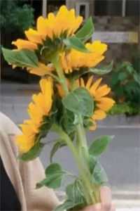 恨我的丈夫知道真相，悔一生陆渊唐茵小说免费在线阅读全本在线