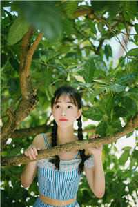 相思沧海亦成灰许清舒陆星野全文免费阅读无弹窗大结局