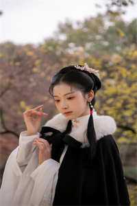 与六根清净的佛子赌下婚约后，背叛我的三个魂兽悔疯了任锡源李清歌已完结txt小说全本免费在线阅读