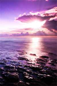 老公和我一起重回八零，他却转身去追求厂长女儿周卫明雨妍抖音小说全章节阅读完结版免费阅读