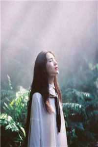 缅北：比人间炼狱更可怕的魔窟张凤凤李强完整版免费阅读全章节在线