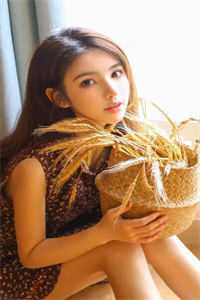 影子爱人贺知州欢欢全集完整版在线免费阅读小说