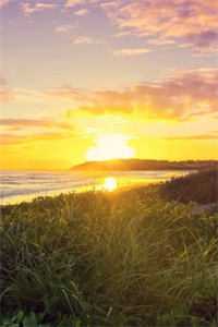 离婚后，前妻全家悔疯了唐清薇顾朝阳完结版在线阅读最新章节在线阅读