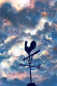 为把丈夫从黑市赎回，儿子白血病去世：全文无删减免费抖音小说全文阅读完整版txt在线阅读