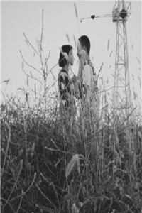 佛子竹马把我送给乞丐后，他悔疯了江揽月霍斯言全本免费在线阅读完结版免费阅读